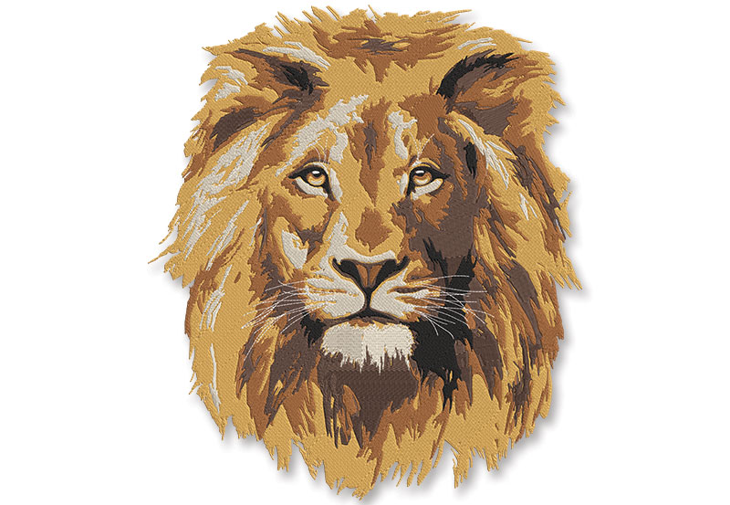 Logo and images digitizing