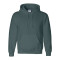 DryBlend® Hooded Sweatshirt