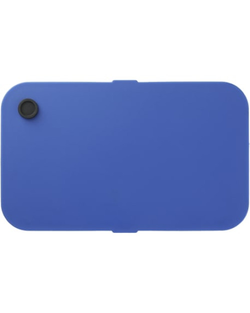 Recycled Plastic Bento Box