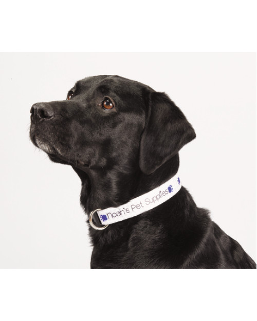 Collier pour animaux de compagnie réglable en couleur de 1 po de large