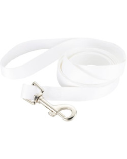 Full Color 3/4" Wide Premium Pet Leash