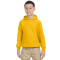 Youth Heavy Blend™ 8 oz., 50/50 Hooded Sweatshirt