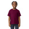 Youth Softstyle T-Shirt