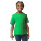 Youth Softstyle T-Shirt