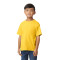Youth Softstyle Midweight T-Shirt
