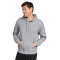 Adult Softstyle® Fleece Pullover Hooded Sweatshirt